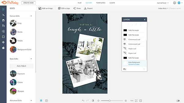 picmonkey canva alternative gif