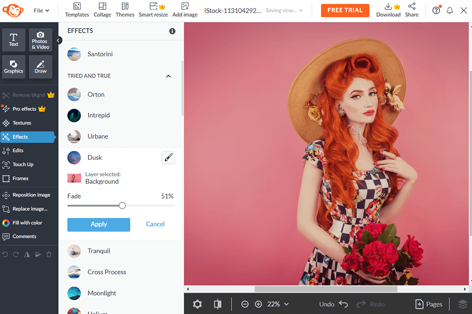 picmonkey بديل لمحسن الصور dvdfab