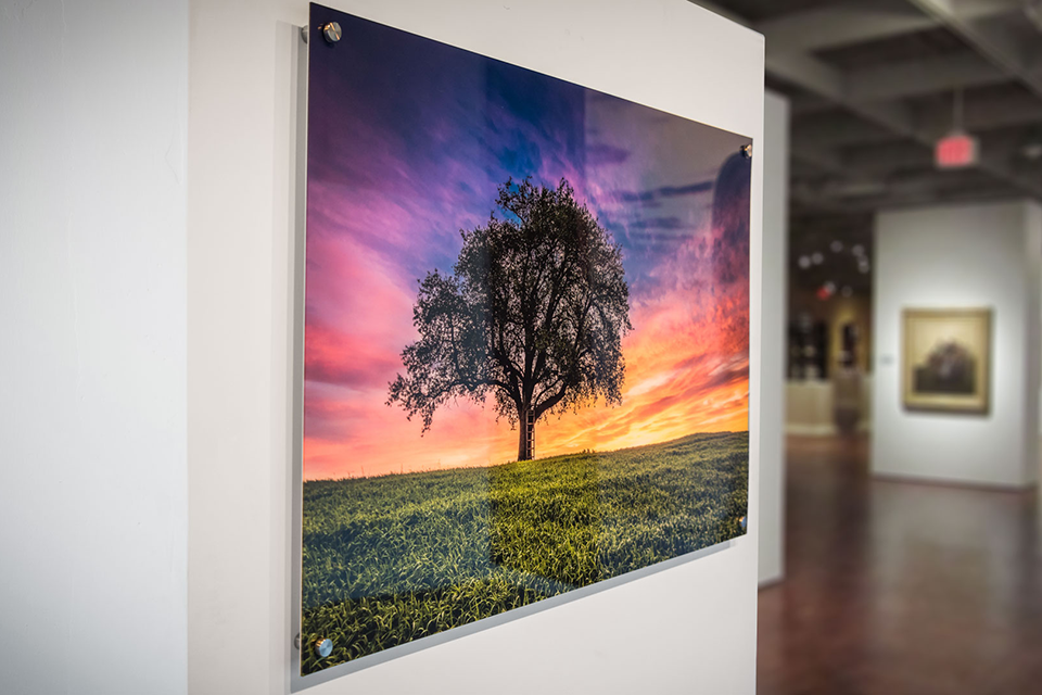 pictorem acrylic photo printing