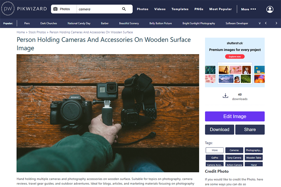 pikwizard free vector site