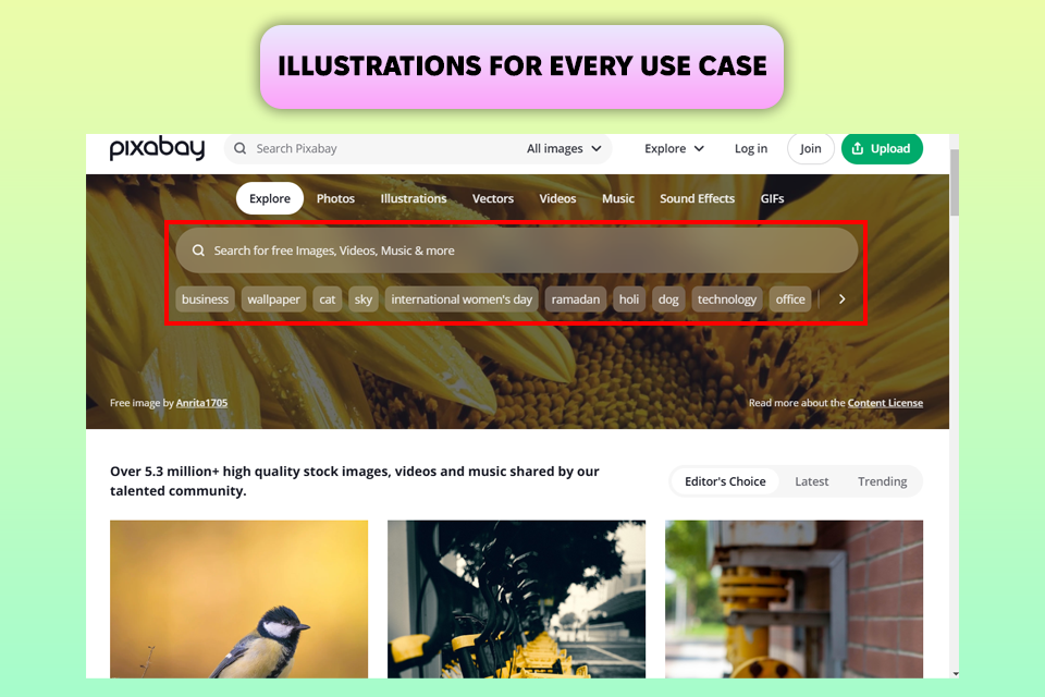 pixabay software