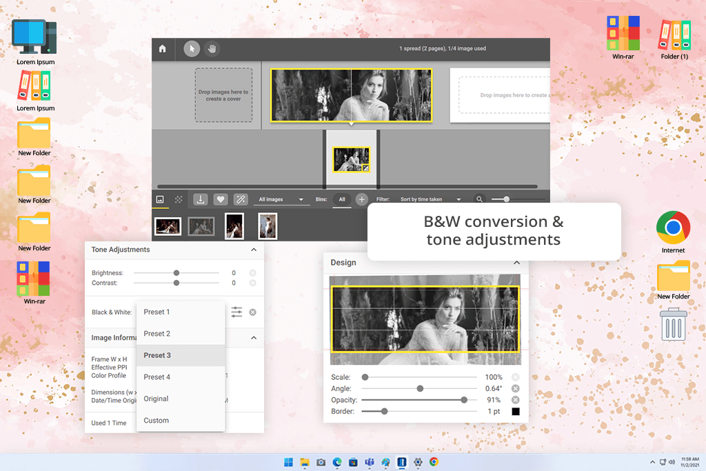 pixellu software interface