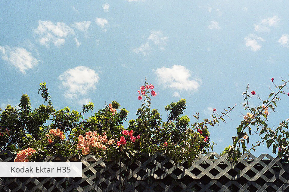 punkt i shoot aparat na film 35 mm kodak ektar h35