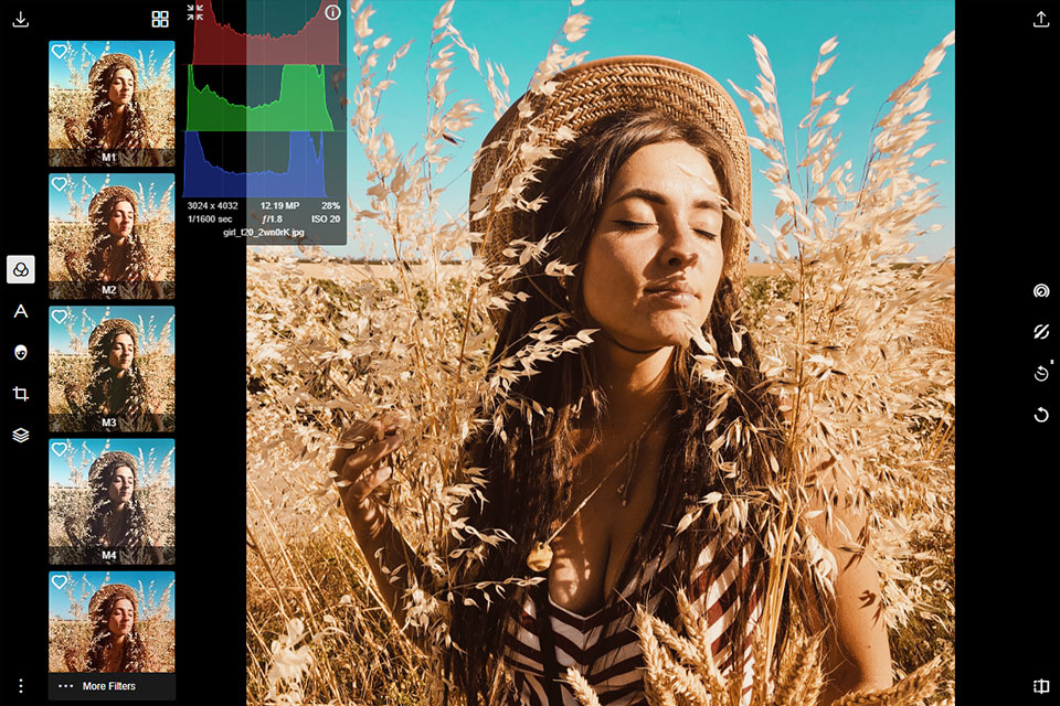 polarr inpixio الواجهة البديلة