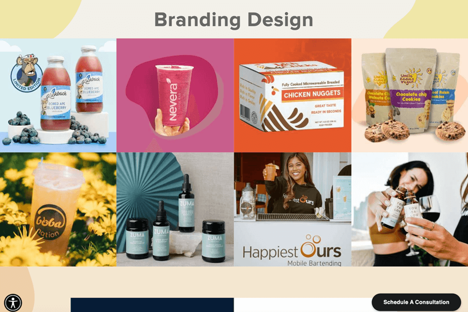 portfolio mad mind studios review