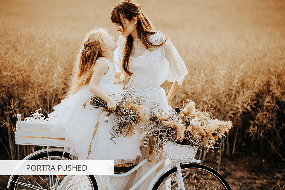 portra pushed mastin labs presets