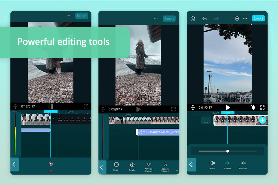 powerdirector remove audio from video app interface