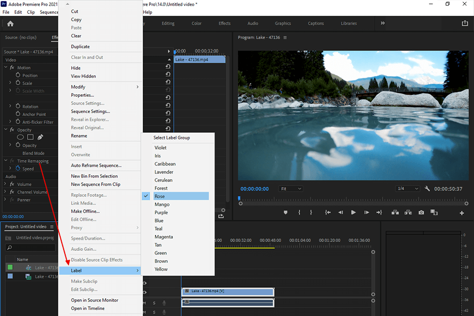 Essential Adobe Premiere Pro Tips with Examples