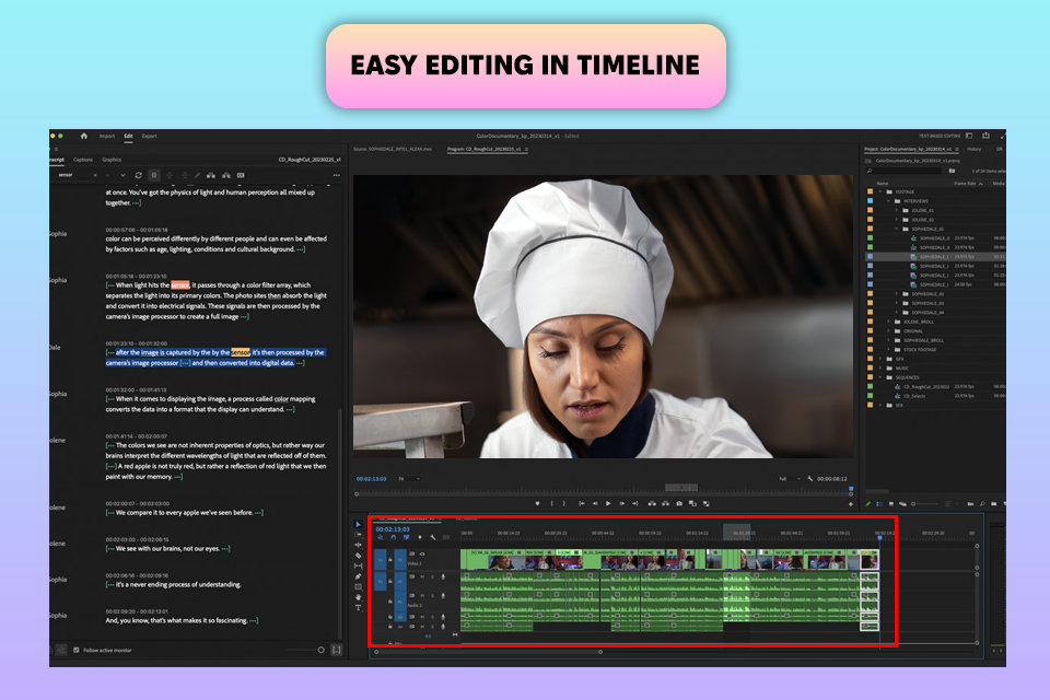 premiere pro software