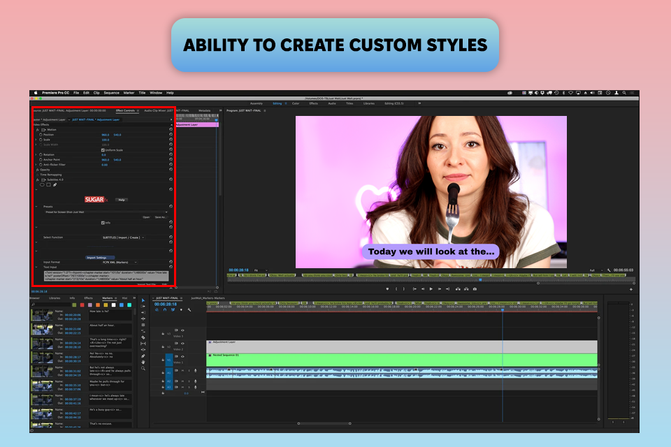 premiere pro software