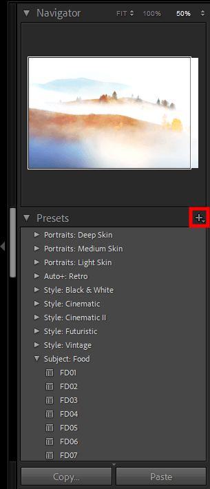 presets tab adobe lightroom