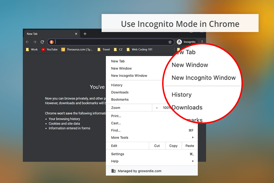 private mode for hiding browser history