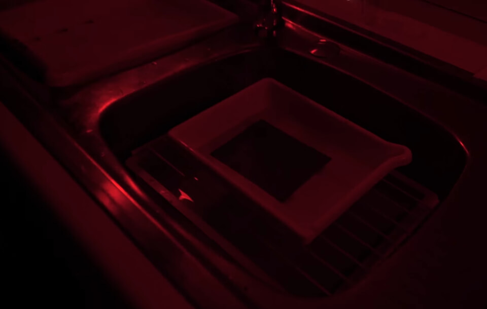 process of taking tintype photo develop picture