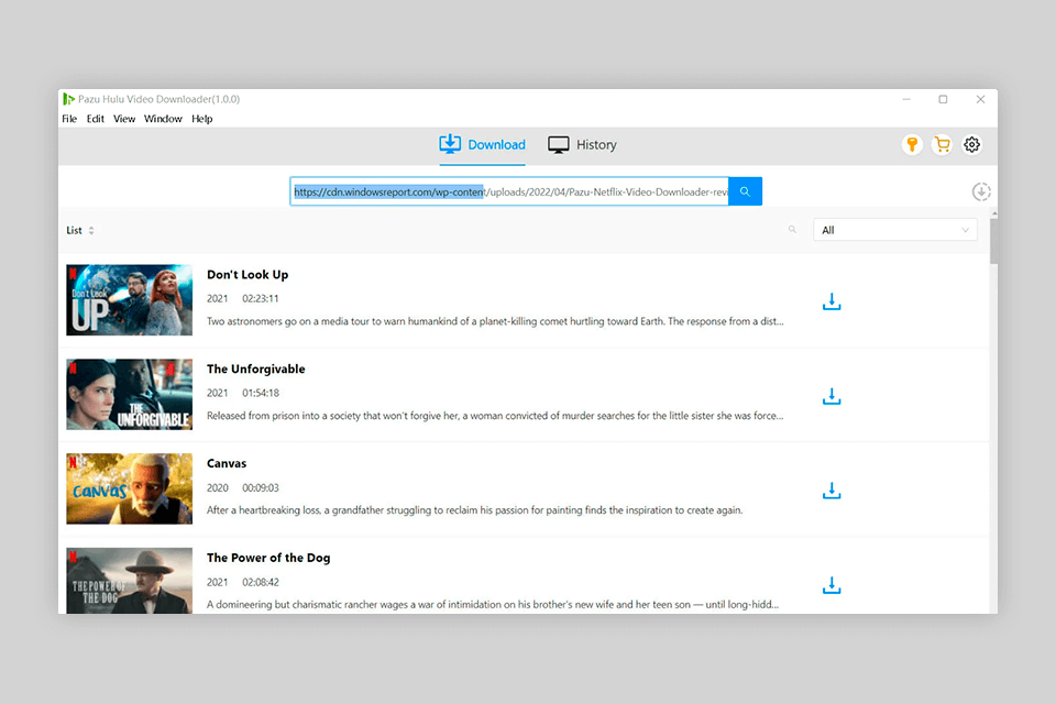 process pazu hulu video downloader review
