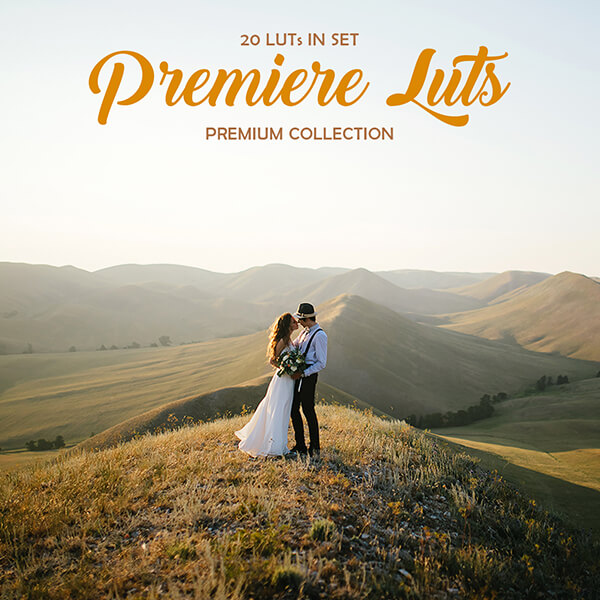 banner profissional estreia luts