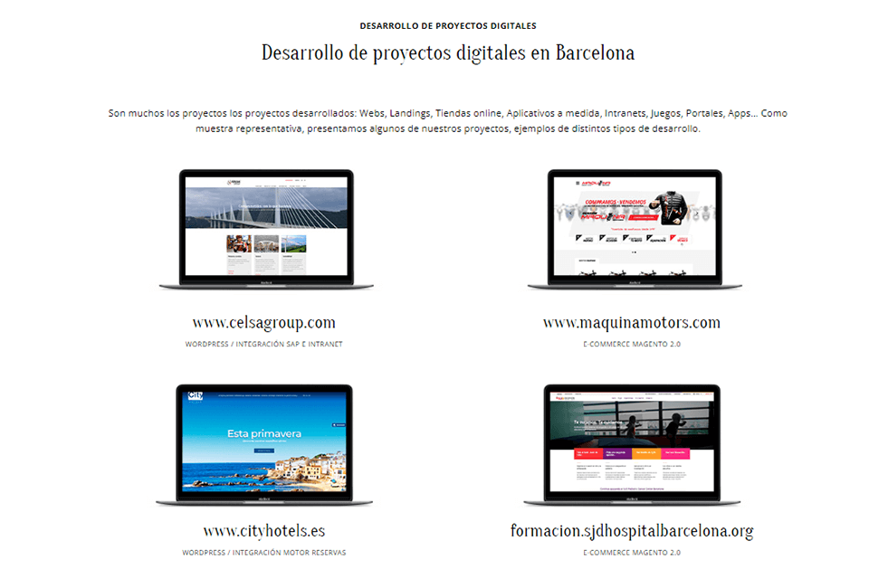 pukkas diseño de sitio web de empresa de desarrollo