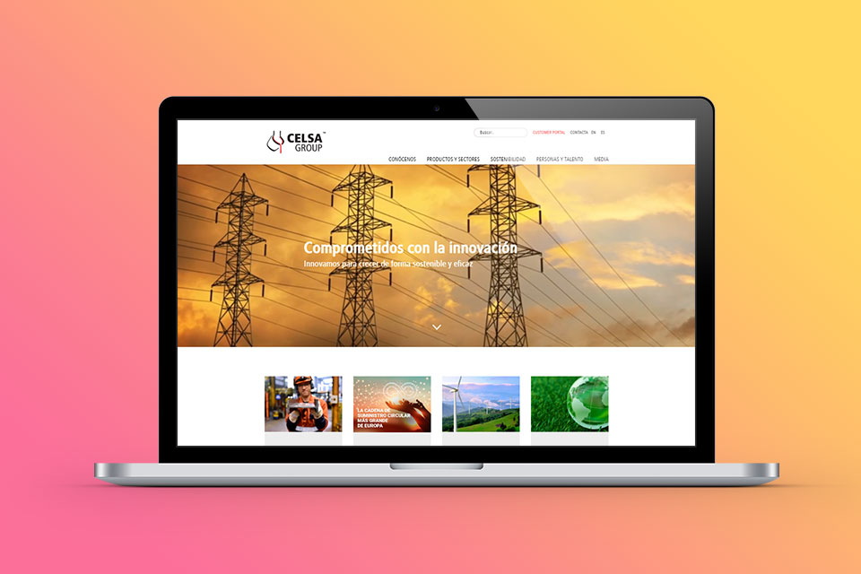 pukkas web development company interface