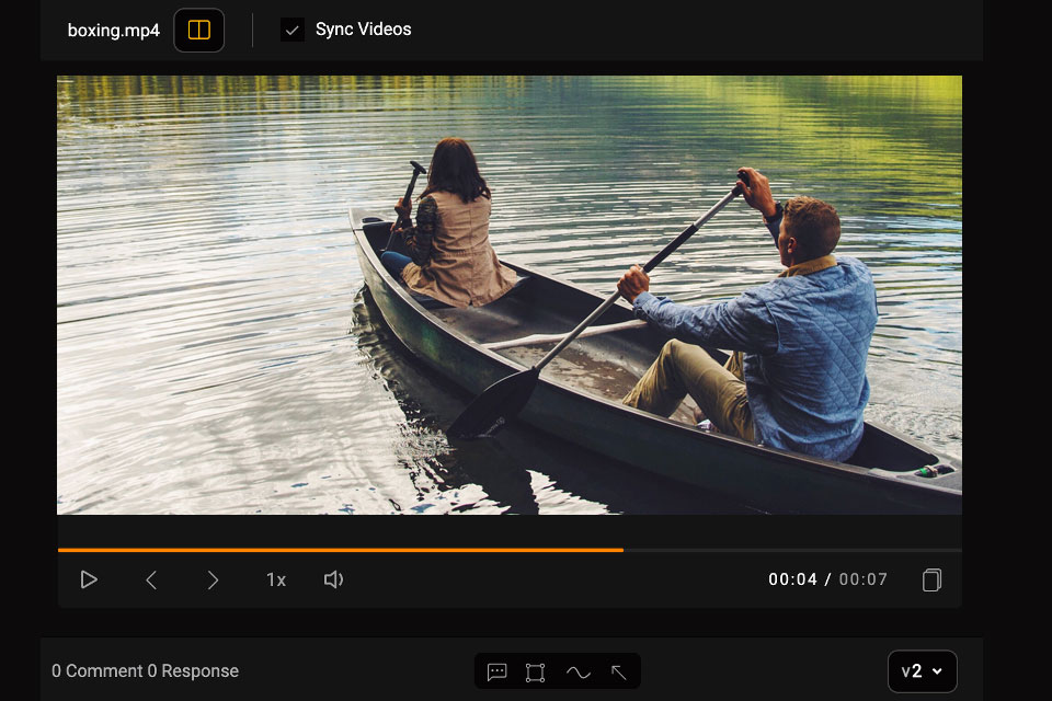 quickreviewer video review software interface