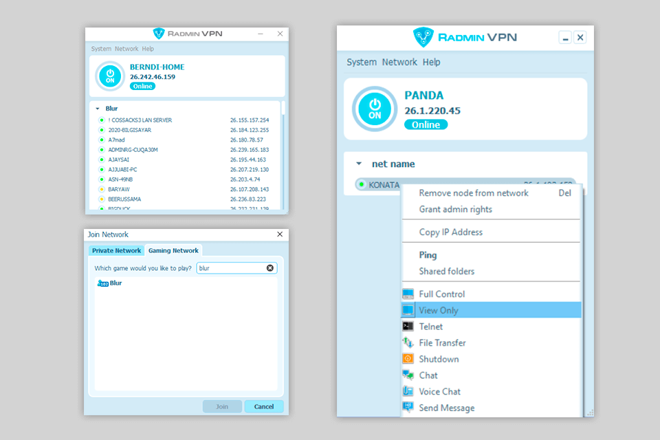 radmin vpn safe