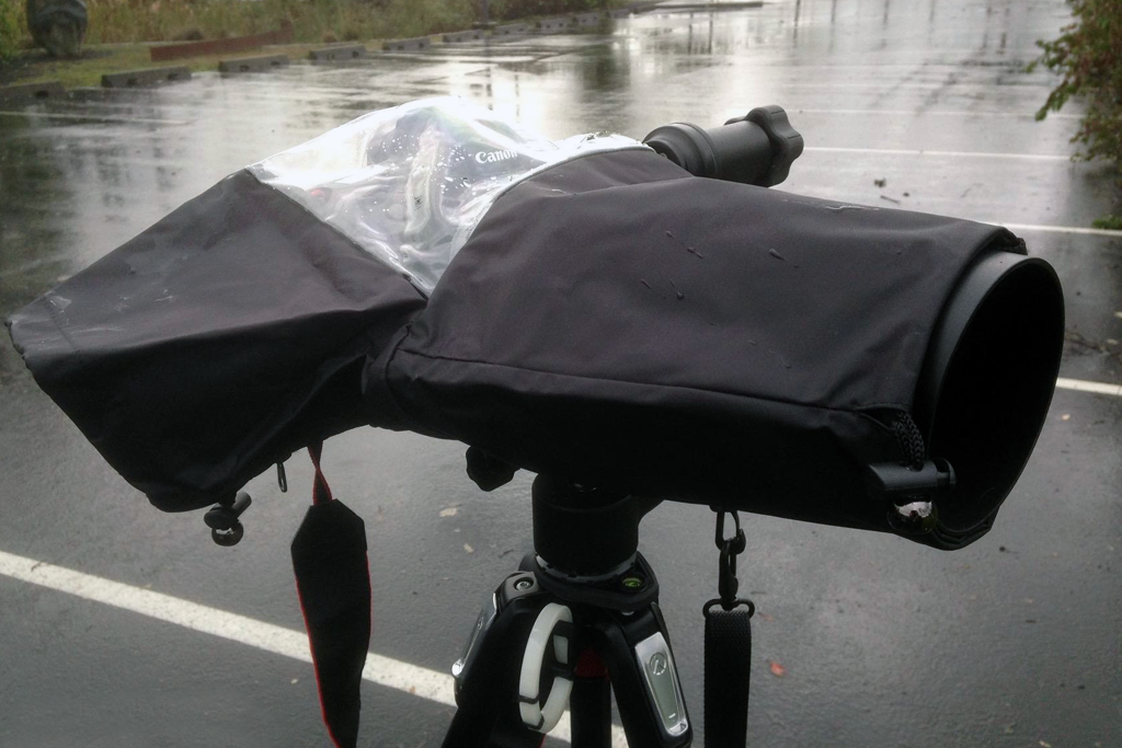 rain cover for wildlife photography gear example
