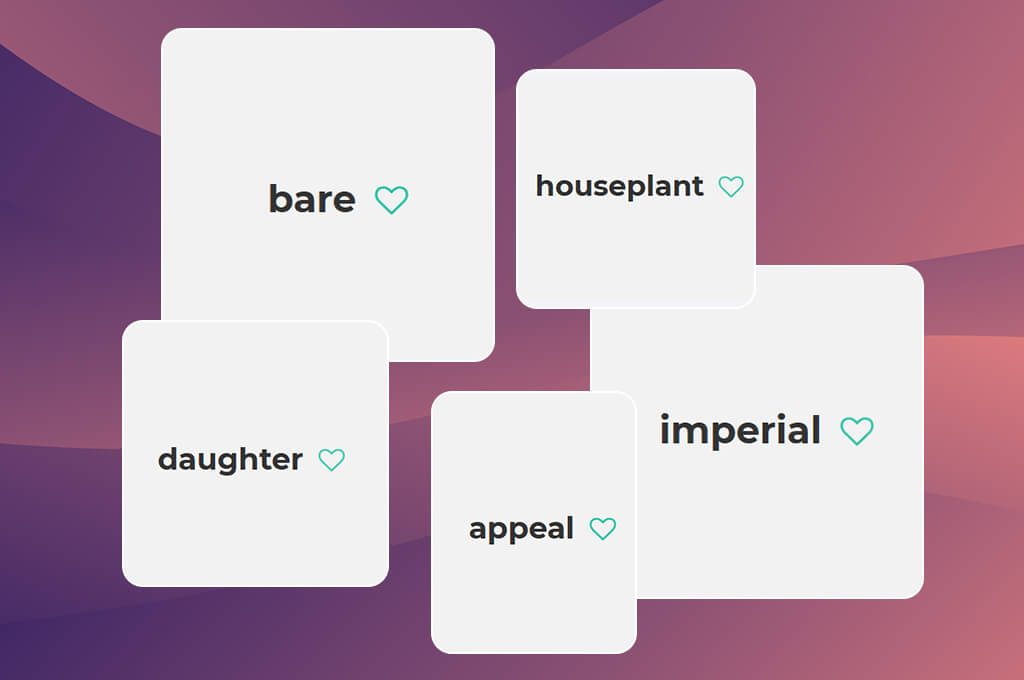 random word generator random picture generator