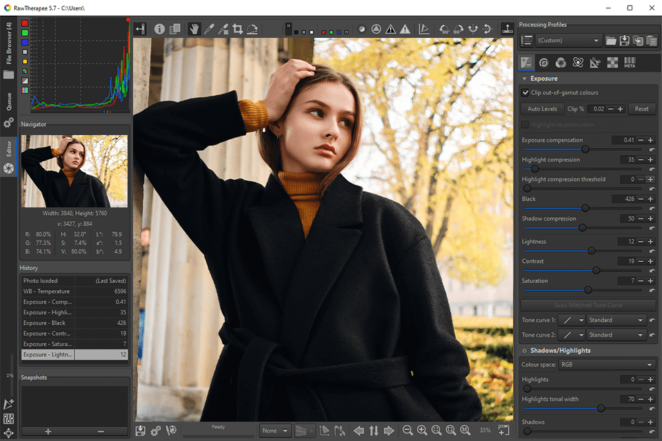 rawtherapee digikam alternative interface