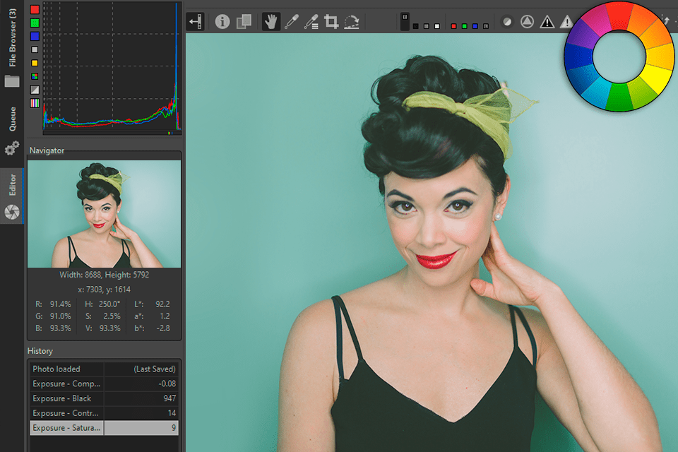 rawtherapee interface