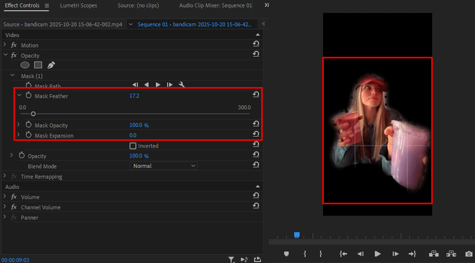 refine the mask made with auto object masking in adobe premiere pro