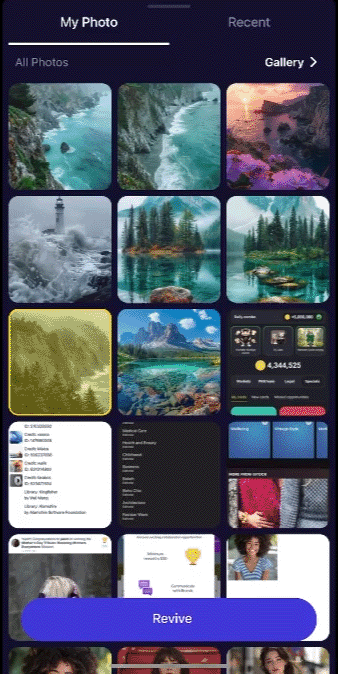 revive app that brings pictures to life interface gif