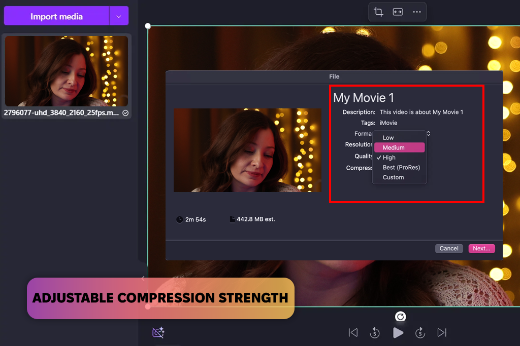 riverside video compressor interface