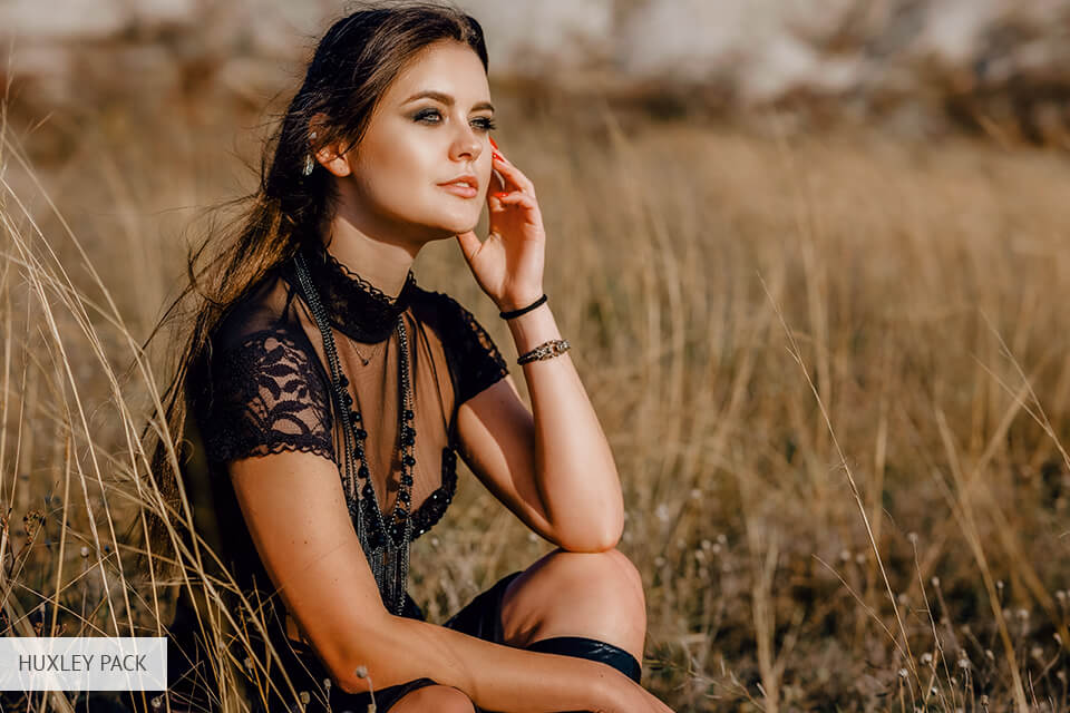 rooke and rover presets huxley pack