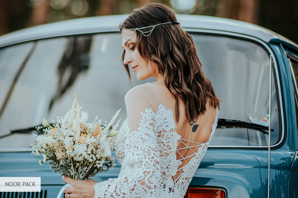 rooke and rover presets noor pack