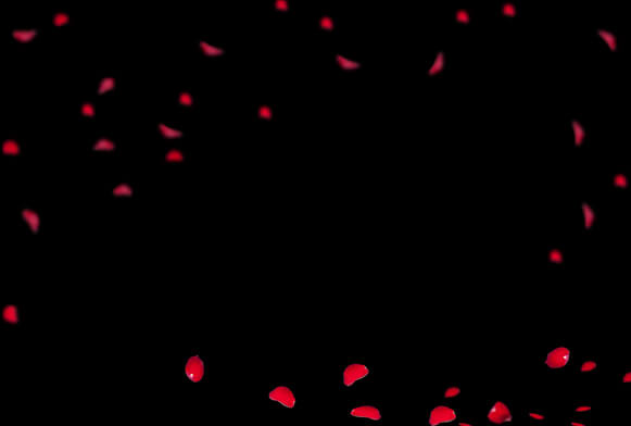sovrapposizione di petali di rosa gratuita