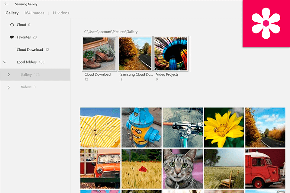 Gallery Wars: Google Photos vs Samsung Gallery – Which One Will Win ...