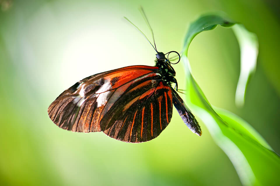 samsung nx3000 spiegelloze camera onder de 1000 lifestyle