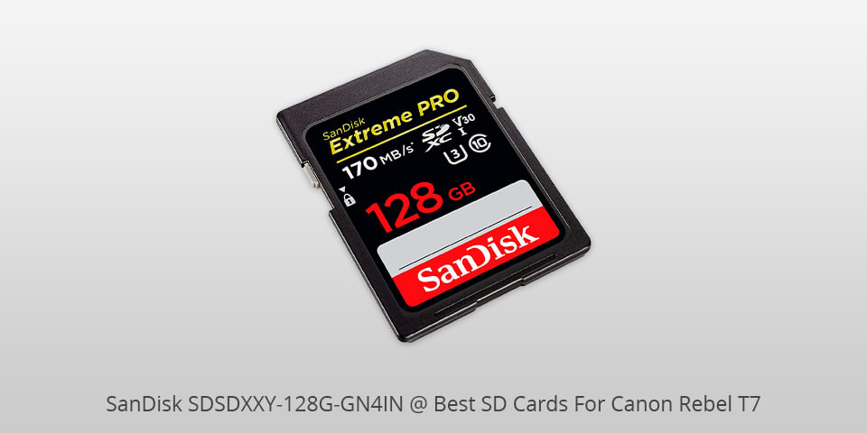 8 Best SD Cards For Canon Rebel T7 In 2023