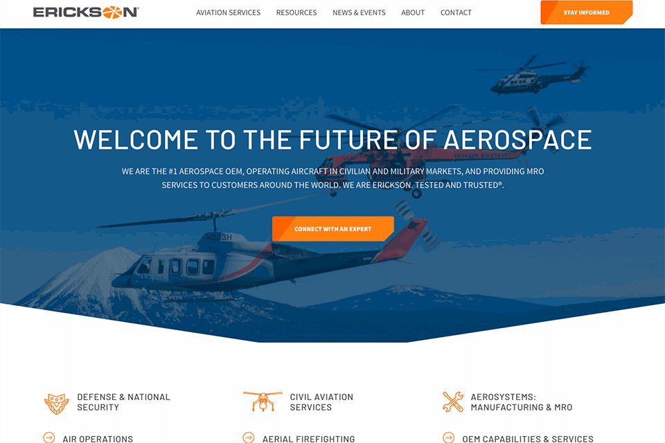 sayenko design web development company work
