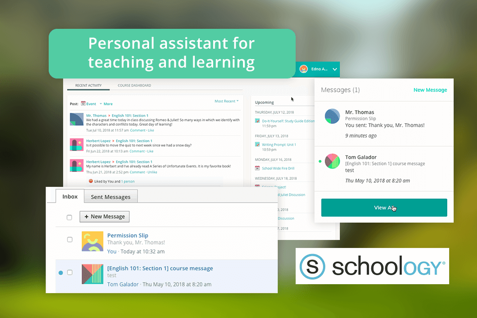 schoology interface