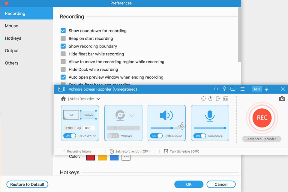 screen recorder vidmore software interface