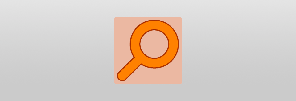 search everything download logo