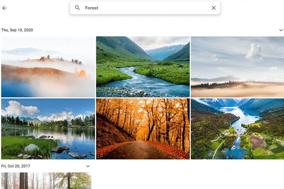 google photos tips search by objects