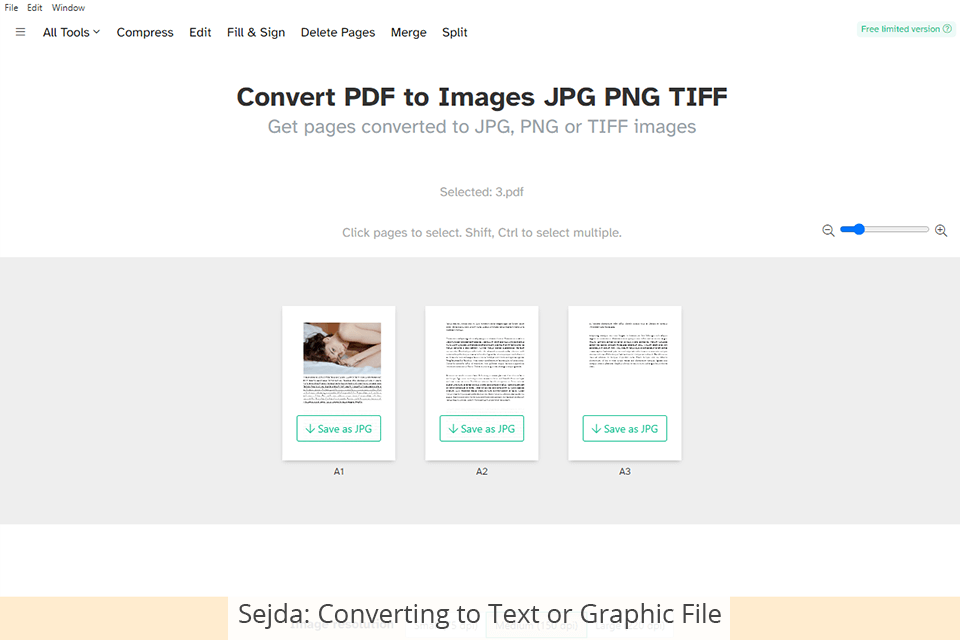 sejda converting to text or graphic file