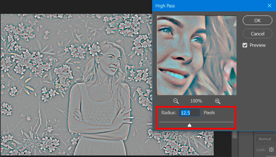 حدد القيم لإزالة الضوضاء في lightroom