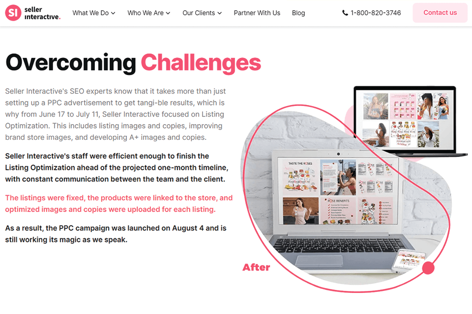 seller interactive agency case study