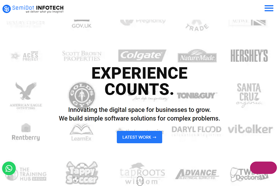 semidot infotech review interface