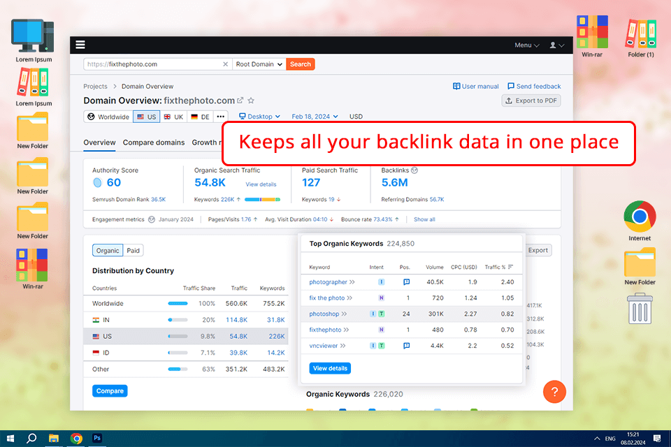 semrush domain overview