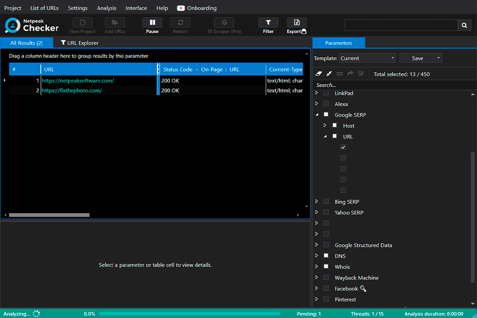serp netpeak checker software review