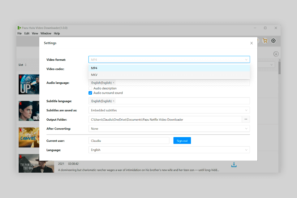 settings pazu hulu video downloader review