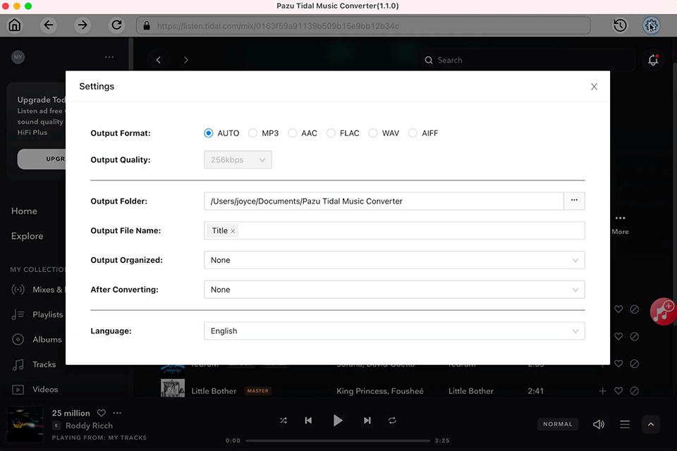 settings pazu tidal music converter review