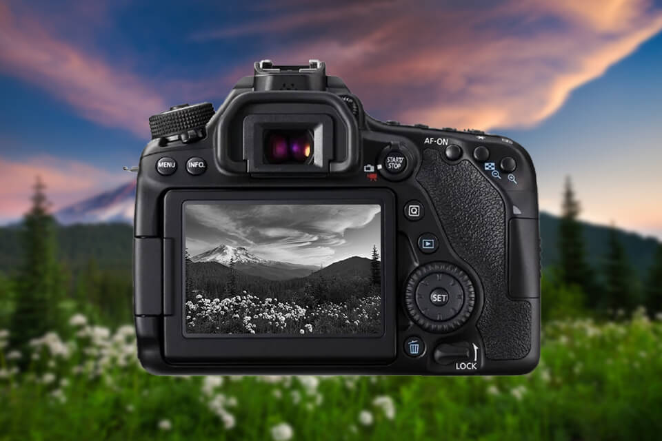 shooting in black and white